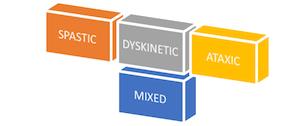 Types of Cerebral Palsy